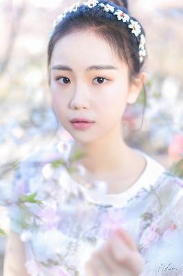 三分野电视剧免费观看完整版高清